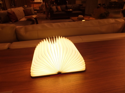 DSCF0896.JPGのサムネイル画像