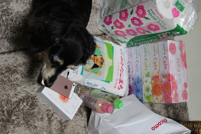 IMG_3378.JPGのサムネイル画像