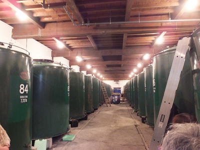 2017-06-22 10.59.55.jpg