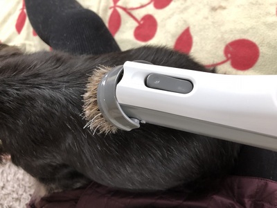 IMG_0398 - コピー.jpg