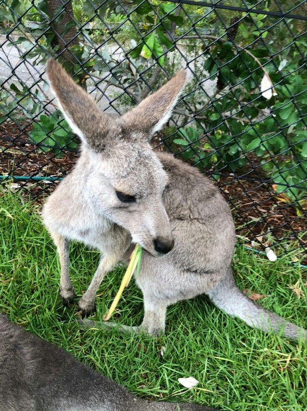 Photo_19-04-03-10-56-16.517 (1).jpg