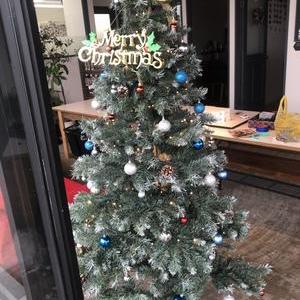 クリスマスツリー in 釧路店