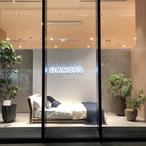 怒涛の3日間(2)~東京散歩