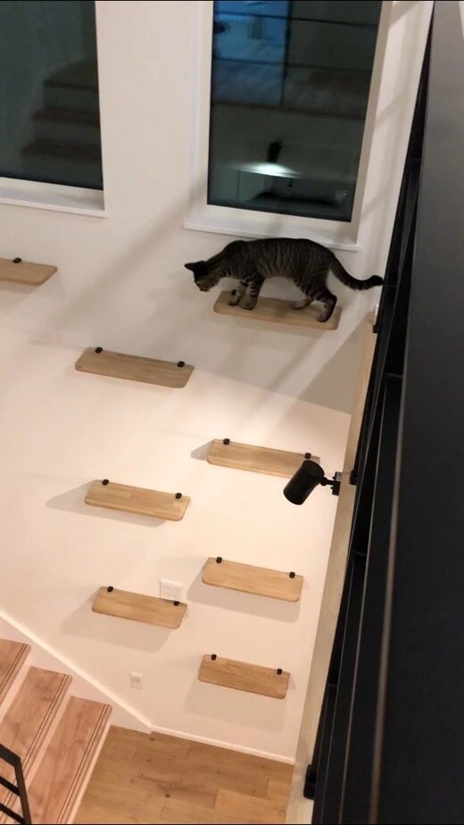 写真 2020-06-12 12 01 30.jpg