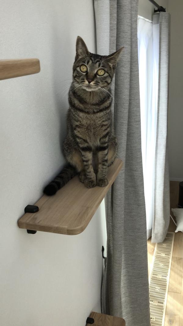 写真 2020-06-12 12 01 32.jpg