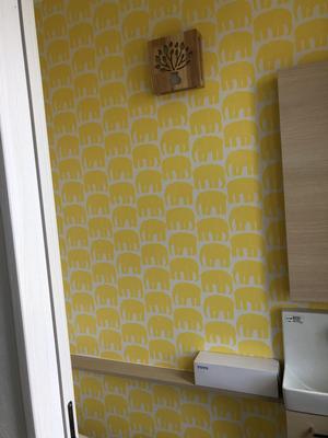 写真 2021-05-11 14 58 19.jpg