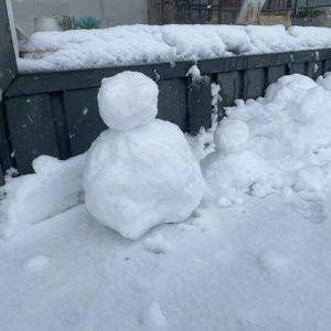 雪　/　お家づくりcafe