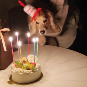 愛犬17歳の誕生日 / 【北見市】きらりパークのご案内