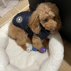 2022年　最後のブログ！　新春イベントのご報告もございます＾＾　｜釧路　2023見学会　緑ヶ岡