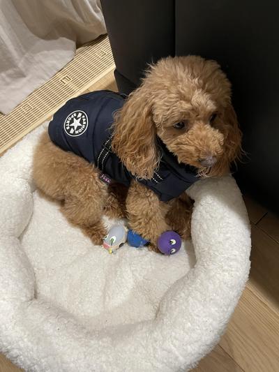 写真 2022-12-23 21 36 23.jpg