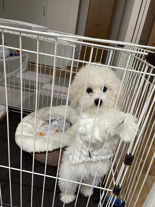 写真 2022-12-07 17 18 04.jpg