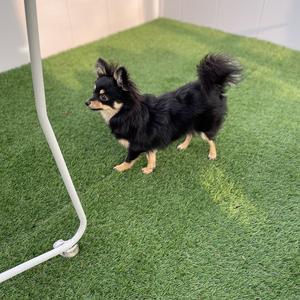 今年最後の焼肉!!