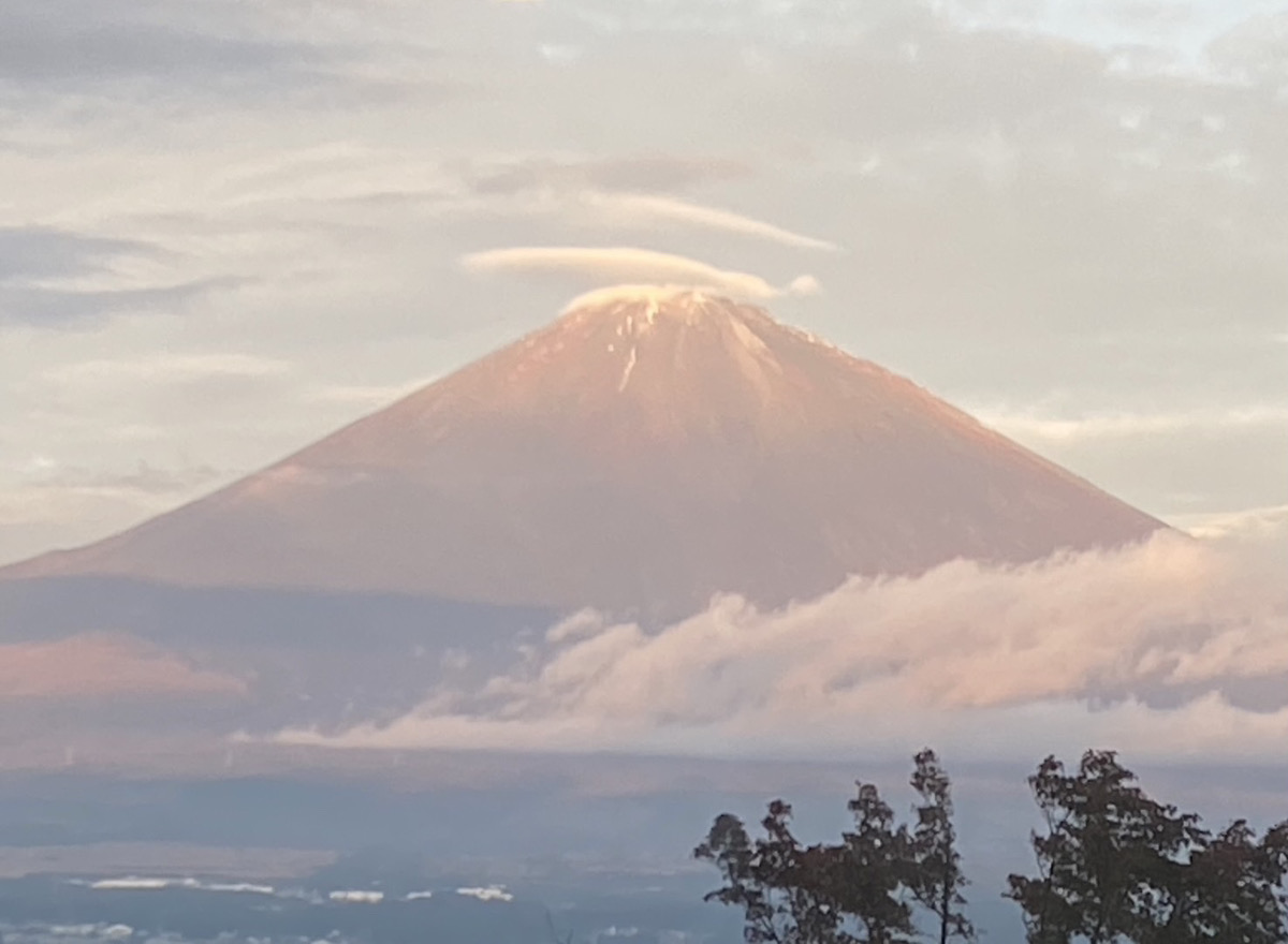 新年あけましておめでとうございます／念願の富士山／見学会